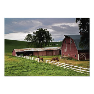 Foto Uma viagem pelo interior rural de Palouse 4