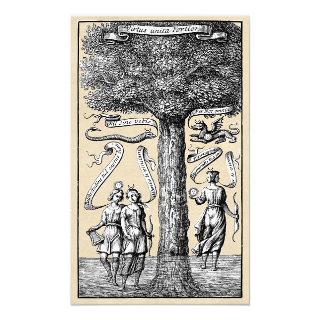 Foto União de Opostos na Alquimia Medieval (Frente)