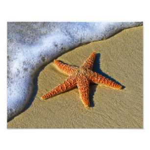 Foto Única estrela do mar na praia