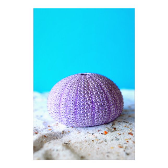 Foto Urchin Roxo (Frente)