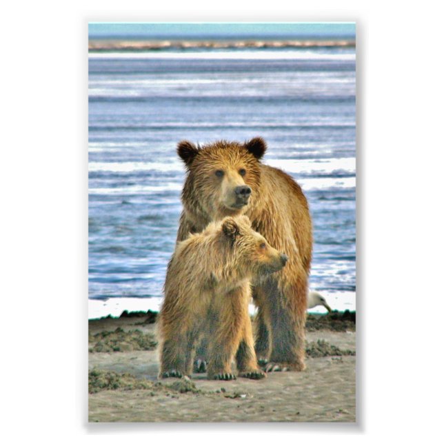 Foto ursinho fotográfico 6x4 (Frente)