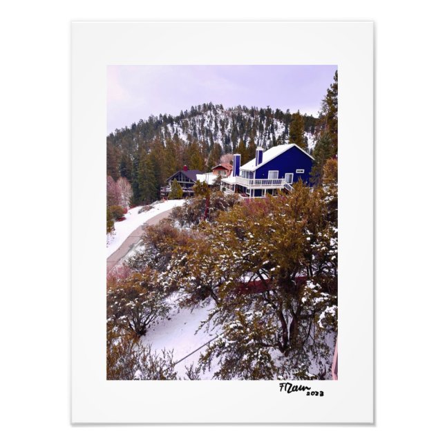 Foto Urso Grande (Frente)