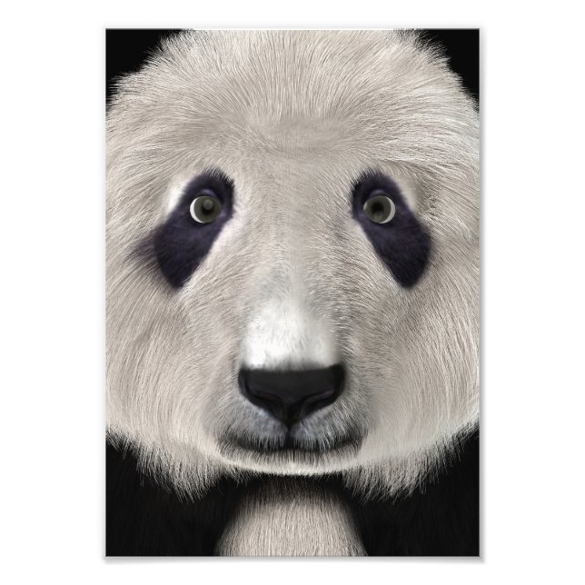 Foto Urso Panda Fofo Presente Perfeito para Amantes de  (Frente)