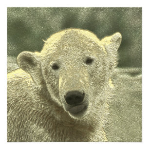 Foto urso polar metálico