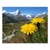 Valais Alps Swiss