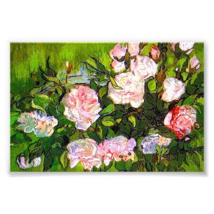 Foto Van Gogh ainda vive com rosas rosa