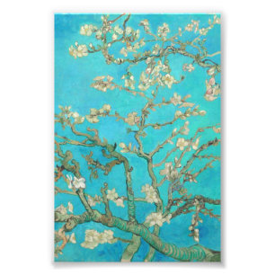 Foto Van Gogh Almond Blossoms