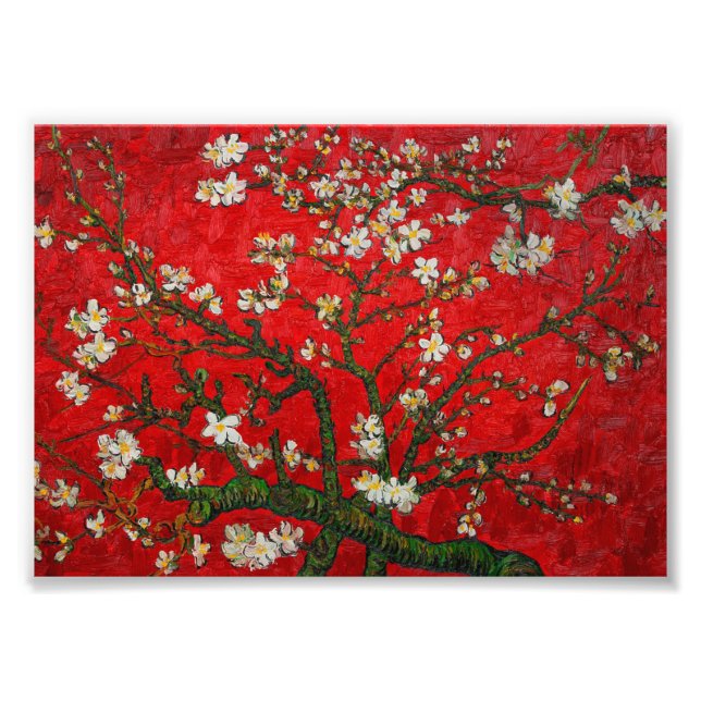 Foto Van Gogh Almond Blossoms Red (Frente)