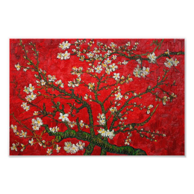 Foto Van Gogh Almond Blossoms Red (Frente)