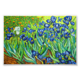 Foto Van Gogh Irises