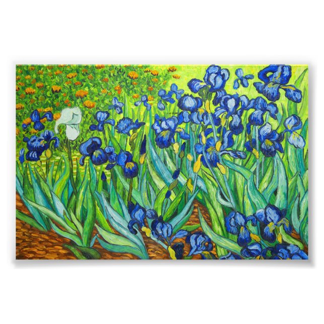 Foto Van Gogh Irises (Frente)