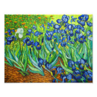 Van Gogh Irises