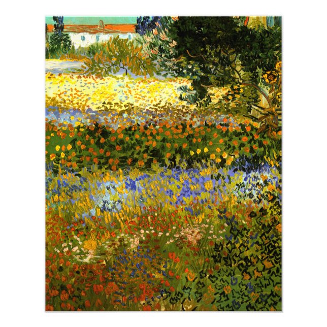 Foto Van Gogh - Jardim Flor, Impressionismo (Frente)