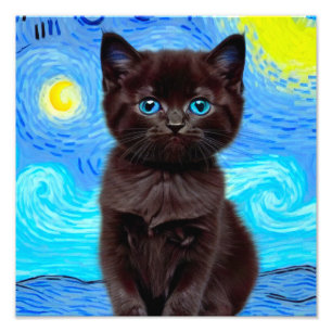 Foto Van Gogh Starry Night Black
