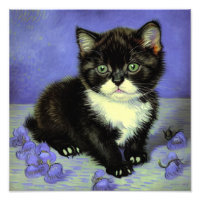 Van Gogh Tuxedo Kitten
