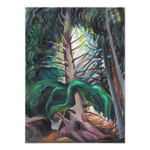 Foto Velho Emily Carr
