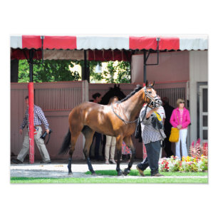 Foto Vêm aqui Rosie - o prado de Saratoga