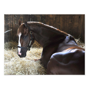 Foto Vencedor "Madefromlucky " de West Virginia Derby