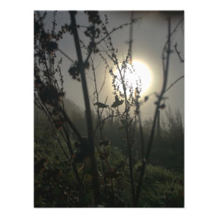 Foto Vendo grande em pequeno