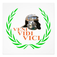 Veni Vidi Vici