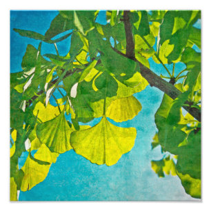 Foto Ventiladores de Dreamy