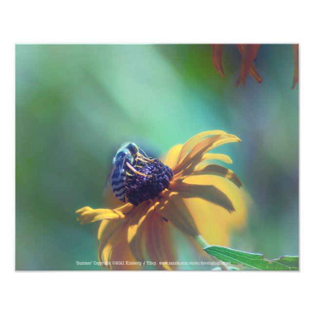 Foto Verão (Frente)