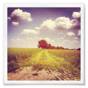 Foto Verão fora da estrada