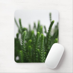 Foto verde Mousepad da natureza da planta da grama
