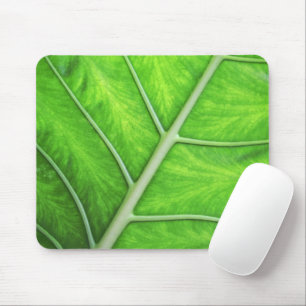 Foto verde tropical Mousepad da natureza da