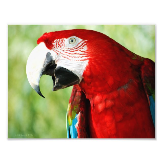 Foto Vermelho Brilhante (Frente)