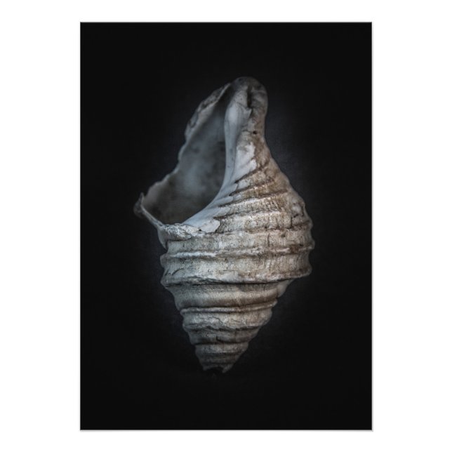 Foto Versão de cor dos reservatórios n.o 6 (Frente)