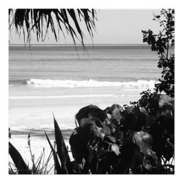 Foto Viagem Beach Scene Summer Black White Tropical