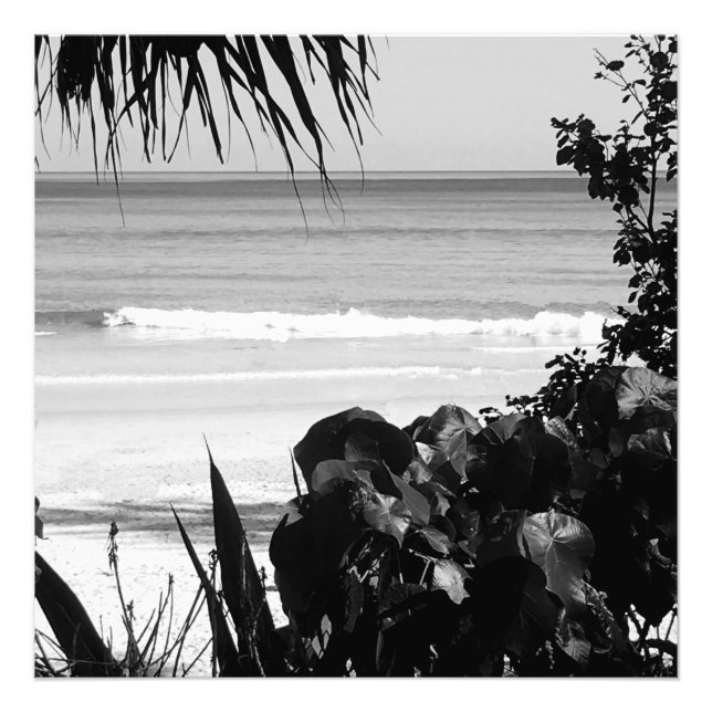 Foto Viagem Beach Scene Summer Black White Tropical (Frente)