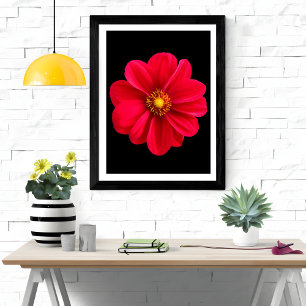 Foto Vibrant Red Dahlia