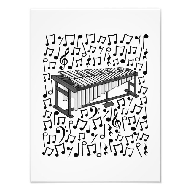 Foto Vibraphone Musical Notes Percussionista Músico (Frente)