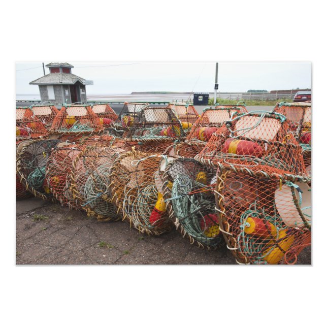 Foto Victoria, Ilha do Príncipe Edward. Potes de carang (Frente)