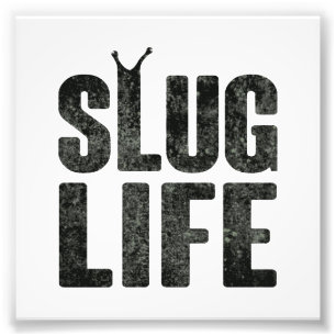 Foto Vida do vândalo da vida do Slug