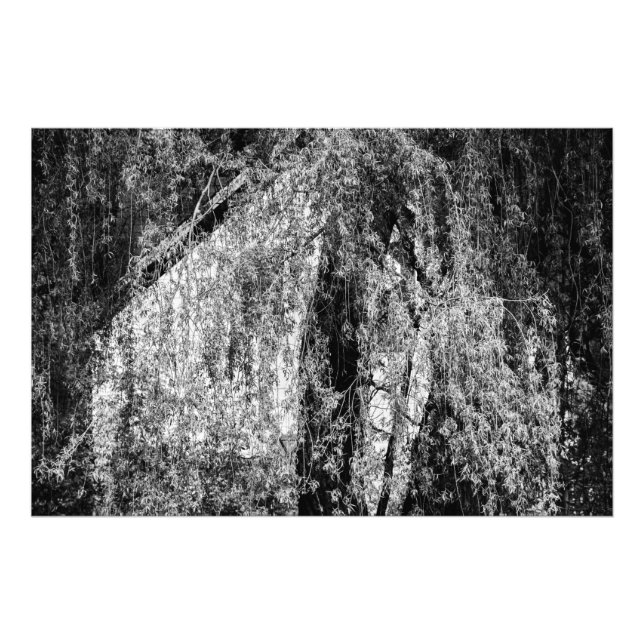 Foto vida útil (Frente)