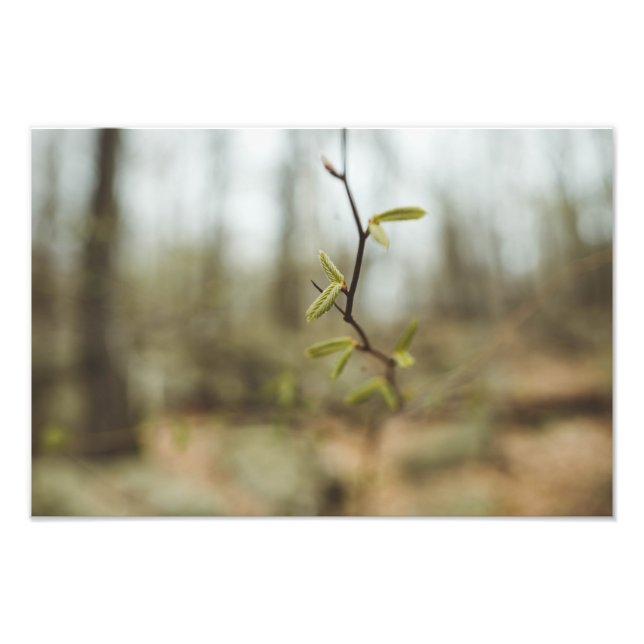 Foto Vida Verde (Frente)