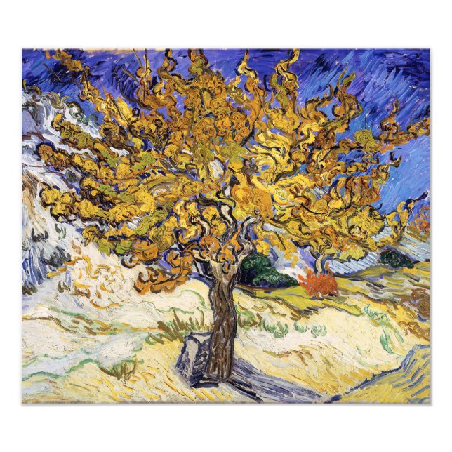 Foto Vincent van Gogh - A Amoreira (Frente)