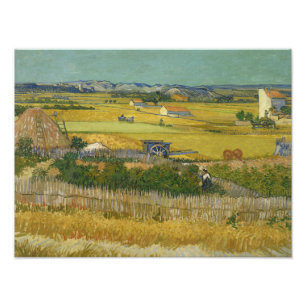 Foto Vincent van Gogh - A Colheita
