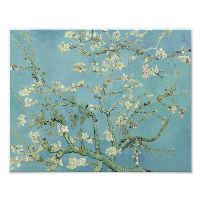 Foto Vincent van Gogh - Almond Blossom (Frente)