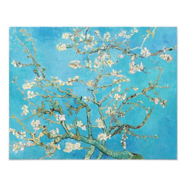 Foto Vincent van Gogh - Almond Blossom (Frente)