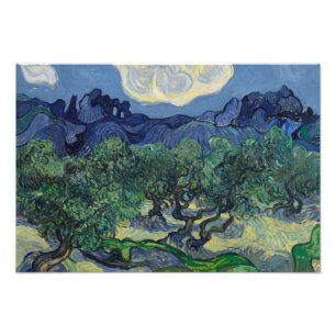 Foto Vincent van Gogh - As Oliveiras