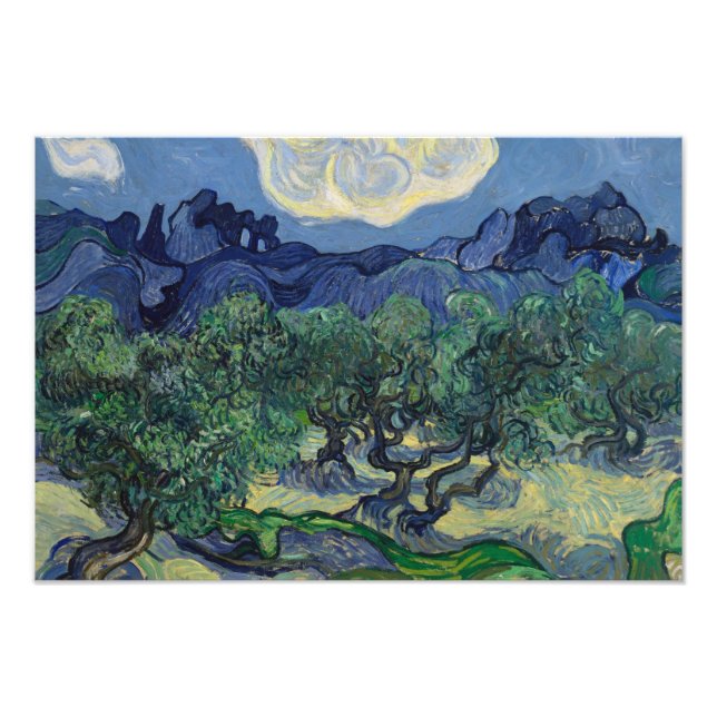 Foto Vincent van Gogh - As Oliveiras (Frente)