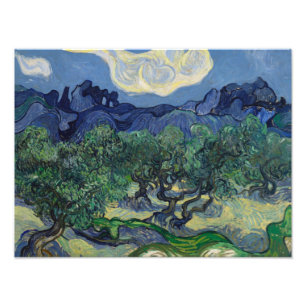 Foto Vincent van Gogh - As Oliveiras
