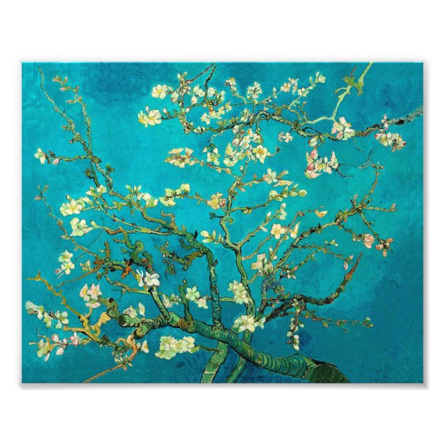 Foto Vincent Van Gogh Blossoming Almond Tree Arte Flora (Frente)