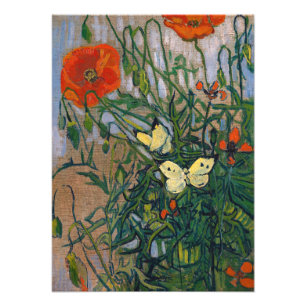 Foto Vincent van Gogh - Borboletas e Papoulas