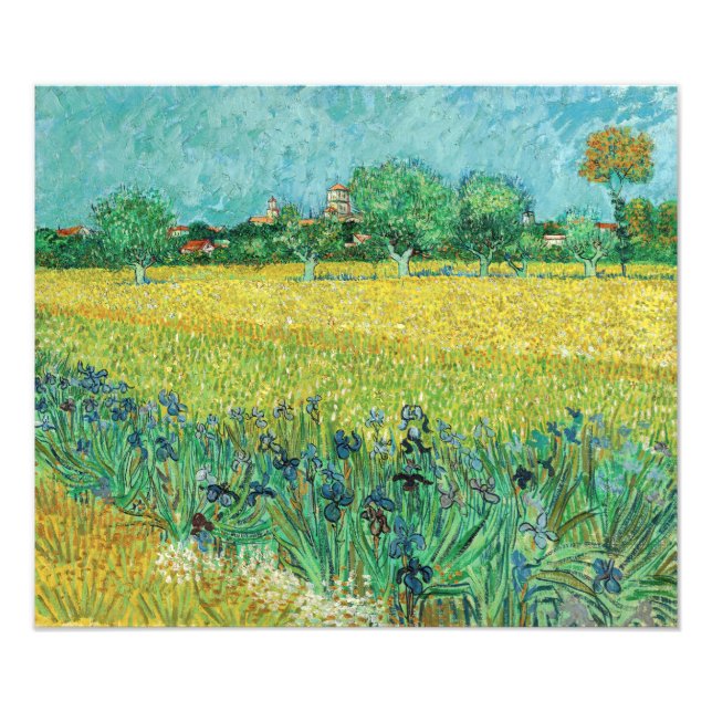 Foto Vincent van Gogh - Campo com Íris perto de Arles (Frente)