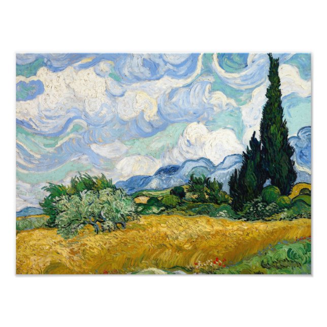 Foto Vincent van Gogh - Campo de Trigo com Cipras (Frente)